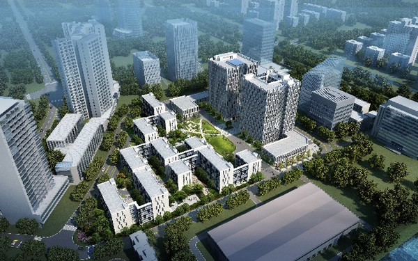 202008031596419081115837.jpg image015.jpg