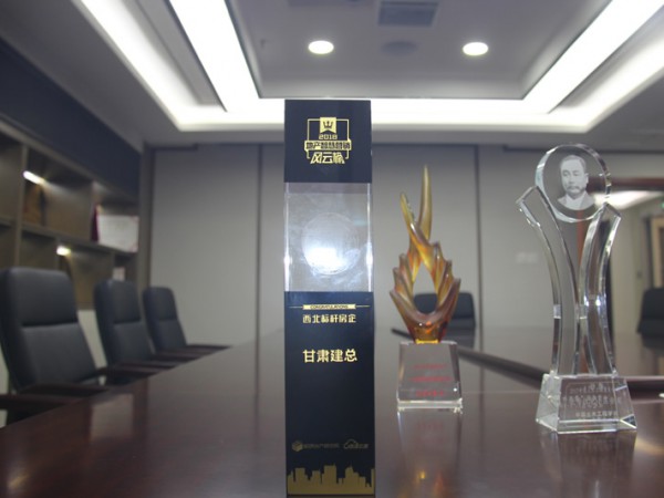 甘肅建總西北標桿房企